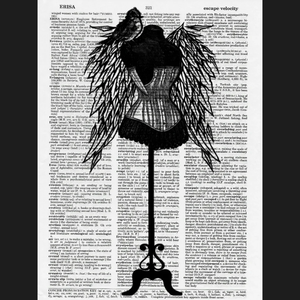Poshmark Chic Vintage Dictionary Art Print Wings
